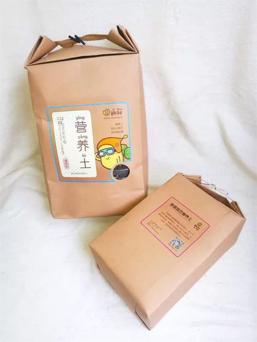 文創設計新風尚：易經八卦文化與親子蔬菜種植品牌的視覺融合